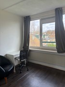 WhatsApp Image 2026-02-04 at 11.47.51.jpeg